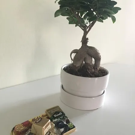 Pisztacia Apartman 公寓 埃格尔