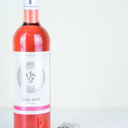 Pisztacia Apartman Apartament Eger