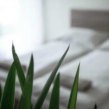 Apartament Pisztacia Apartman *